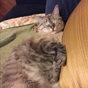 Meet your Posher, Teresa